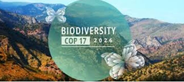 بررسی موانعِ حفظِ تنوع زیستی در COP17