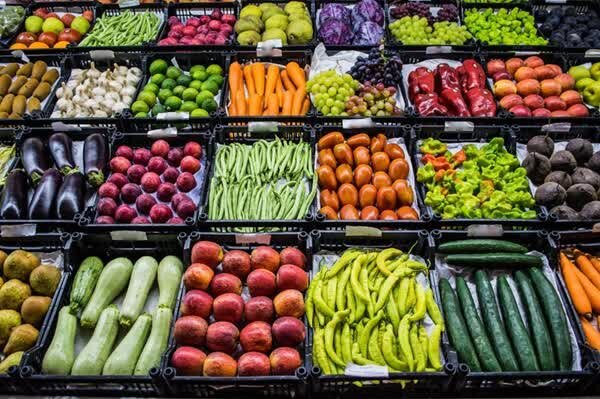 صادرات بیش از ۱۰۲ هزار تن گوجه‌فرنگی و پیاز فارس به کشورهای خارجی