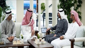 تقویت همکاری محور دیدار وزیر دفاع عربستان و رئیس امارات
