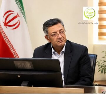 ایلام؛ پیشران تولید بذور اصلاح‌شده گندم در کشور/کسب رتبه سوم کیفیت گندم