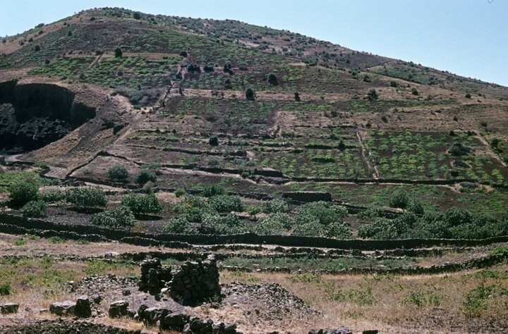 رادارهای رژیم صهیونیستی به سویدا در جنوب سوریه رسیدند!