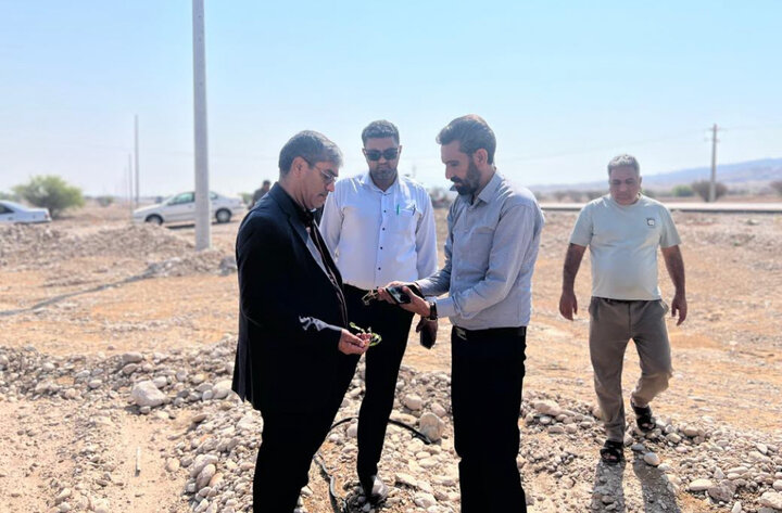 خسارت ۱۰۰ میلیارد تومانی بارندگی و تگرگ به مزارع «کهورستان» خمیر
