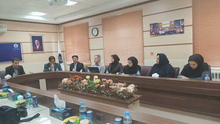بسته سیاستی توسعه و احیای باغات دیم استان ایلام تدوین شد