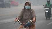 بوی تند خاک سوخته؛ نفس کشیدن در «کالیمانتان» سخت شده است+عکس