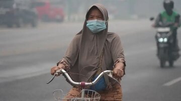 بوی تند خاک سوخته؛ نفس کشیدن در «کالیمانتان» سخت شده است+عکس