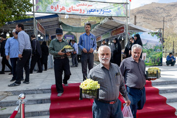 سیزدهمین جشنواره انگور هزاوه
