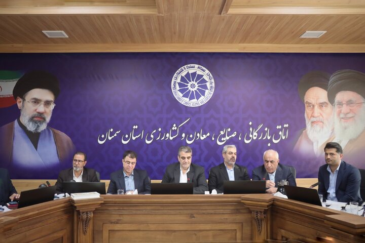 استاندار سمنان: همه دستگاه‌ها با تمام ظرفیت در حمایت از فعالان اقتصادی ایفای نقش کنند