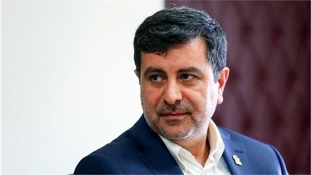 اقتصاد دولتی شفابخش نیست/ دولت برای اداره کشور به بخش خصوصی نیاز دارد