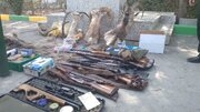 کشف حیوانات تاکسیدرمی‌شده، ۶ اسلحه و بیش از هزار فشنگ در فردیس