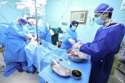 اهدای اعضای بدن پدر ۴۷ ساله ملایری، جان چند بیمار نیازمند را نجات داد