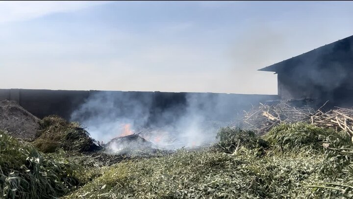 پیمانکار شهرداری قم به دلیل پسماندسوزی گسترده به دستگاه قضایی معرفی شد