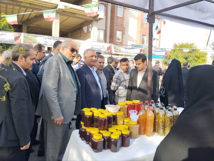 نخستین جشنواره ملی رازیانه رزن برگزار شد