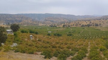 تحول کشاورزی ایوان با تکمیل زیرساخت‌های آب و خاک