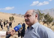تدوین سند مدیریت پایدار جنگل‌های زاگرس/ اجرای طرح صیانت از ذخیره‌گاه بلوط سرسختی