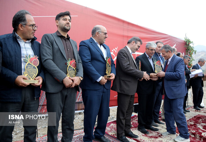 جشنواره انار نمهیل؛ از رونق باغداری تا توسعه گردشگری جنوب اردبیل+تصاویر