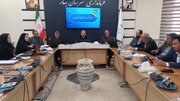 فرماندار بهار: ساماندهی سگ‌های بلاصاحب باید با جدیت دنبال شود