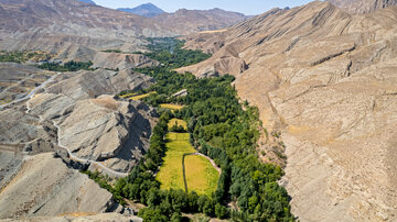 نمایی از روستای سررود در شهرستان کلات نادری که بخش عمده‌ای از محصول گردوی این شهرستان از باغ‌های آن برداشت می‌شود.