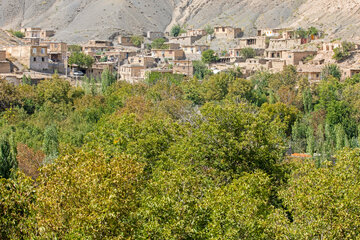 نمایی از روستای حمام قلعه در شهرستان کلات نادری که بخش زیادی از محصول گردوی این شهرستان از باغ‌های آن برداشت می‌شود.