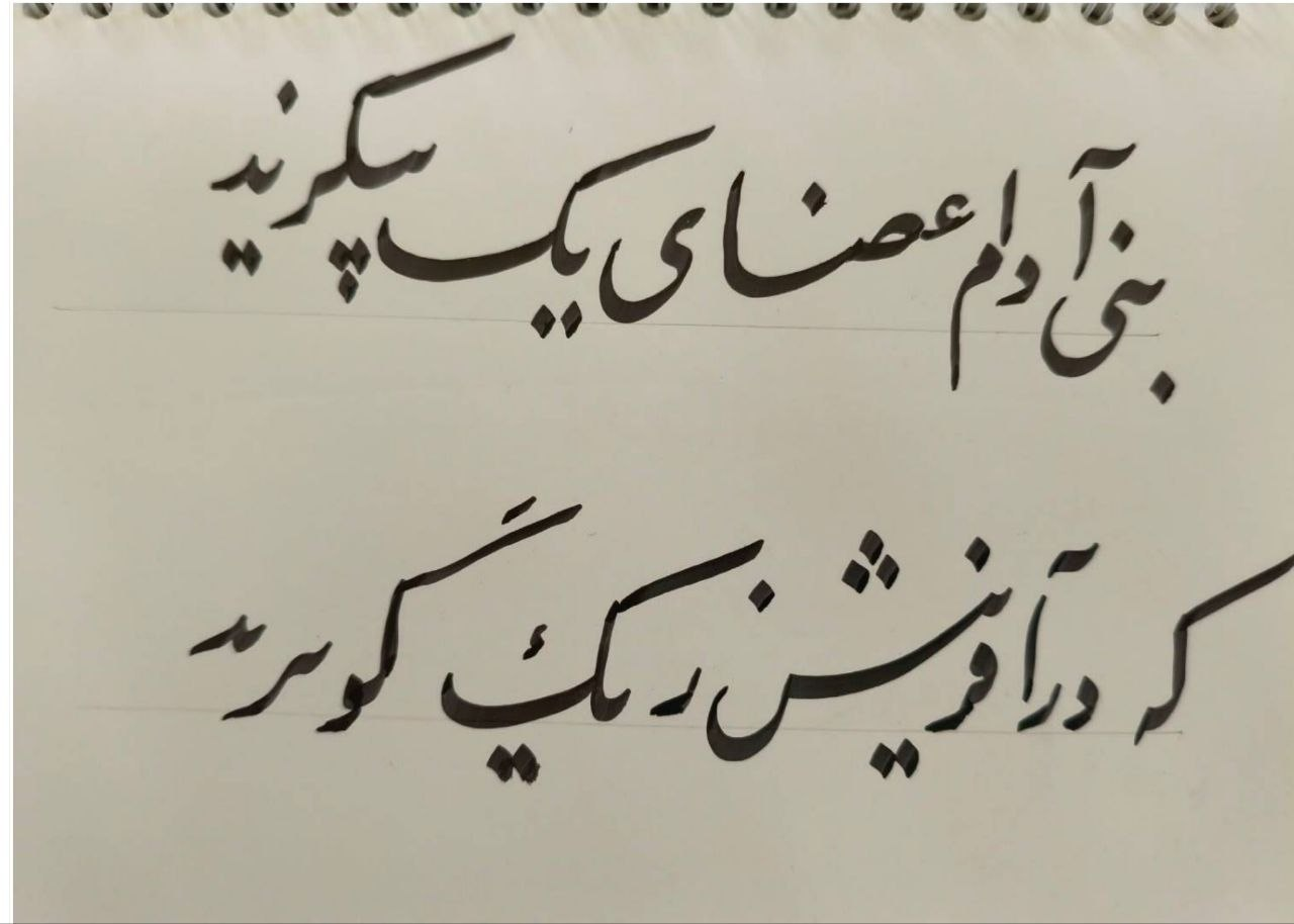 لافاو قادری: زبان فارسی موسیقیایی است