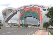 عرضه برنج مازندران در بورس کالا متوقف شد!