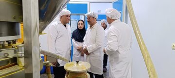 کارخانه تولید داروهای دامی بروجرد با ۹ خط تولید و صادرات به کشورهای همسایه فعال است