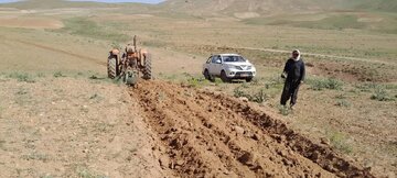 محکومیت قضایی متخلف تخریب پوشش گیاهی و اراضی ملی در همدان