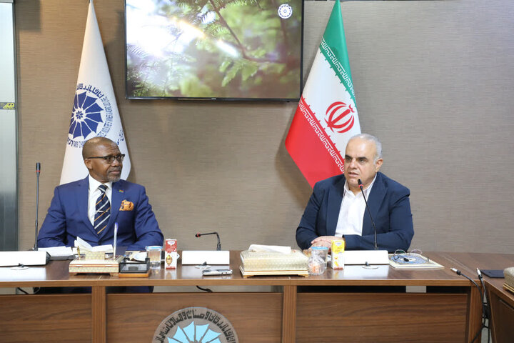 سفیر آفریقای‌جنوبی: توسعه همکاری‌های اقتصادی با ایران نیازمند فعالسازی ظرفیت‌های مشترک است