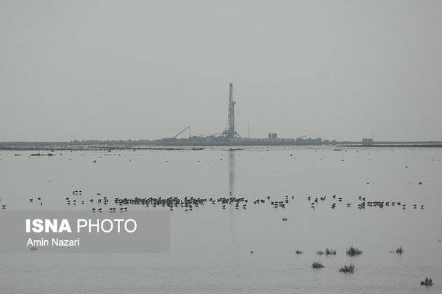 بررسی ۱۴۷ طرح در کارگروه ارزیابی زیست‌محیطی خوزستان