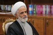 معاون حقوقی رئیس‌جمهور در پیامی درگذشت والده استاندار هرمزگان را تسلیت گفت