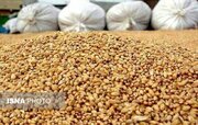 کشف دو انبار احتکار نهاده‌های کشاورزی قاچاق در شوشتر