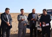 اختصاص ۲۵ هکتار زمین برای احداث مجتمع بزرگ دامپروری در شهرستان مهدیشهر