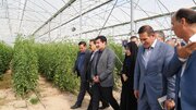 ⁨ اختصاص اعتبارات مالیات بر ارزش افزوده برای حمایت از کسب‌وکارهای روستایی