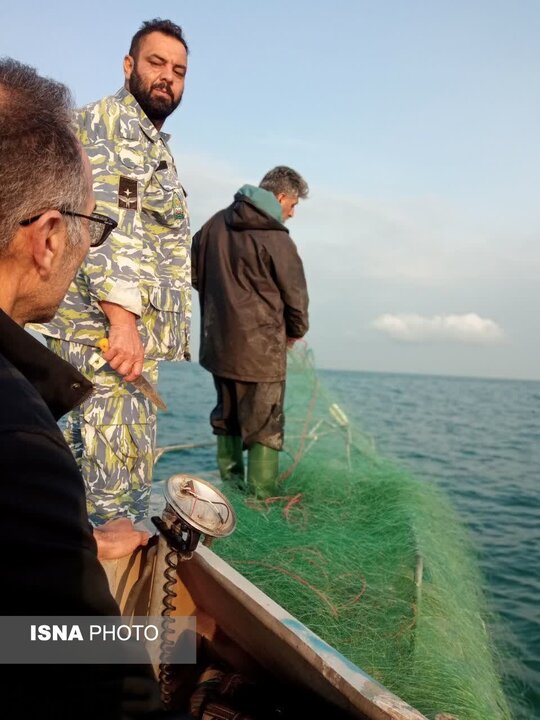 پایش میدانی و مقابله با تخلفات صیادی در غرب مازندران / پاکسازی پهنه دریایی با همکاری شیلات
