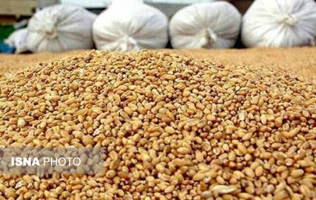 کشف دو انبار احتکار نهاده‌های کشاورزی قاچاق در شوشتر