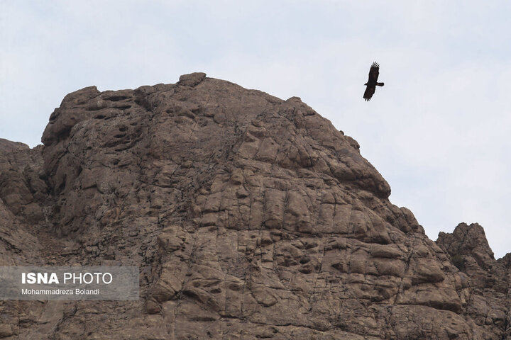 ۴۰ روز دور از خانواده برای نجات خانه طبیعت