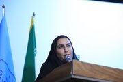 فرماندار: جیرفت «شهر مجیدزاده» و شناسنامه فرهنگی تمدن منطقه است