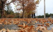 بارش‌های پراکنده در همدان تا فردا/ ورود سامانه بارشی جدید از یکشنبه هفته آینده