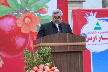 مدیرکل فرهنگ و ارشاد آذربایجان شرقی: جلفا ظرفیت تبدیل شدن به قطب ادبی و فرهنگی را دارد