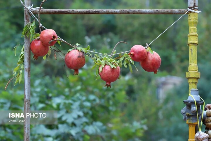 جشنواره انار ارس؛ فرصتی برای پیوند کشاورزی، گردشگری و اقتصاد محلی اشتبین