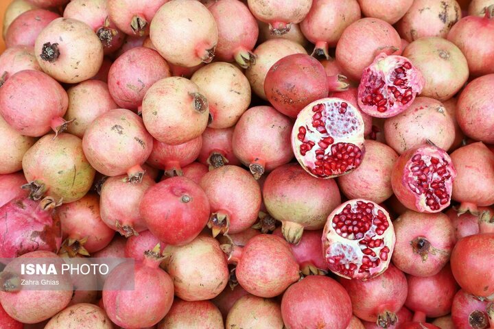 جشنواره انار ارس؛ فرصتی برای پیوند کشاورزی، گردشگری و اقتصاد محلی اشتبین