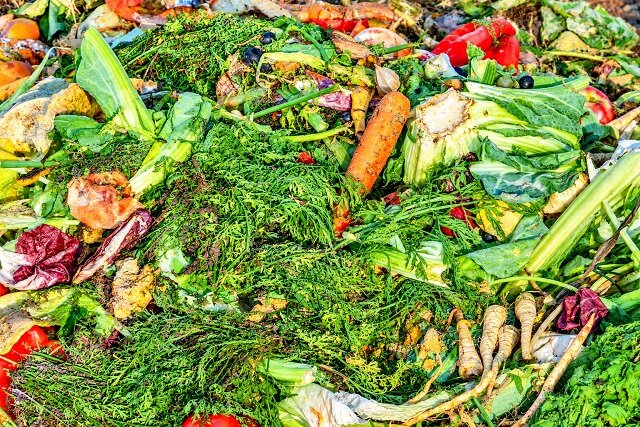 بخش‌های دورریختنی میوه و سبزی، منبعی پنهان از فیبرهای غذایی