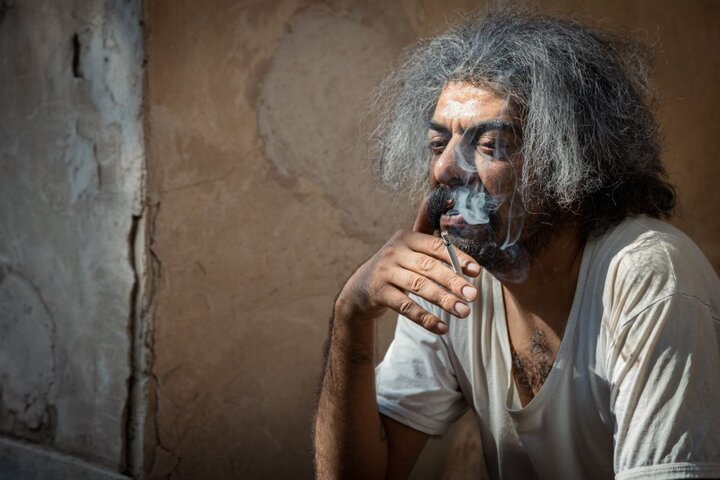 از فاطمه شکری چه خبر؟