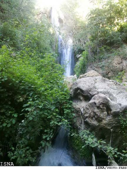 دشتك همين نزديكي‌است، پر از عطر گردو - ایسنا