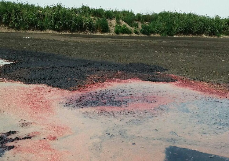 مشکلات بوی تعفن و خونابه های یک کشتارگاه صنعتی برای ساکنین چند روستای غرب گرگان