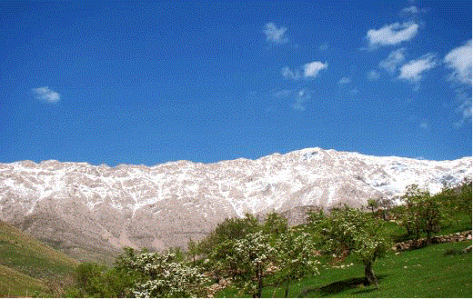 کوه شاهو، مکانی برای طبیعت گردی در استان کرمانشاه - ایسنا