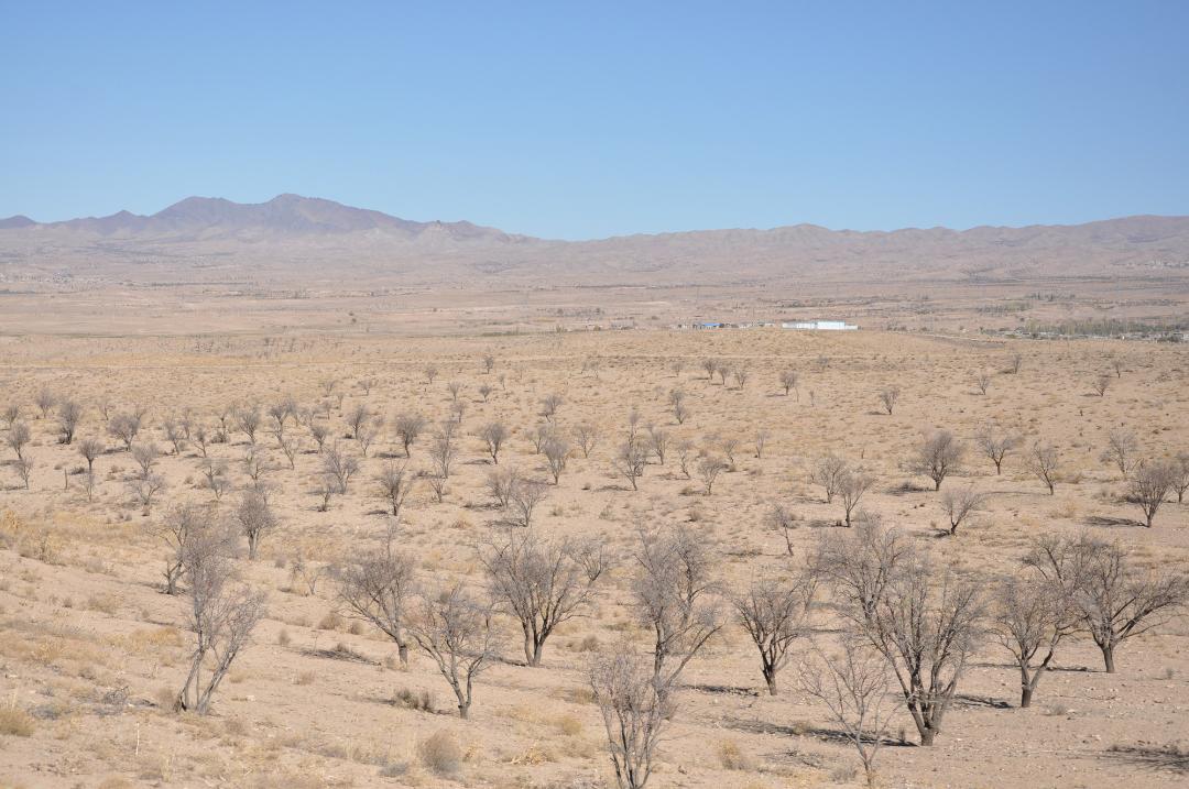 بادامستان
