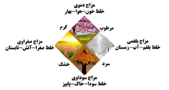 مکمل های ورزشی رژیمی و غذایی گیاهی براساس مزاج افراد