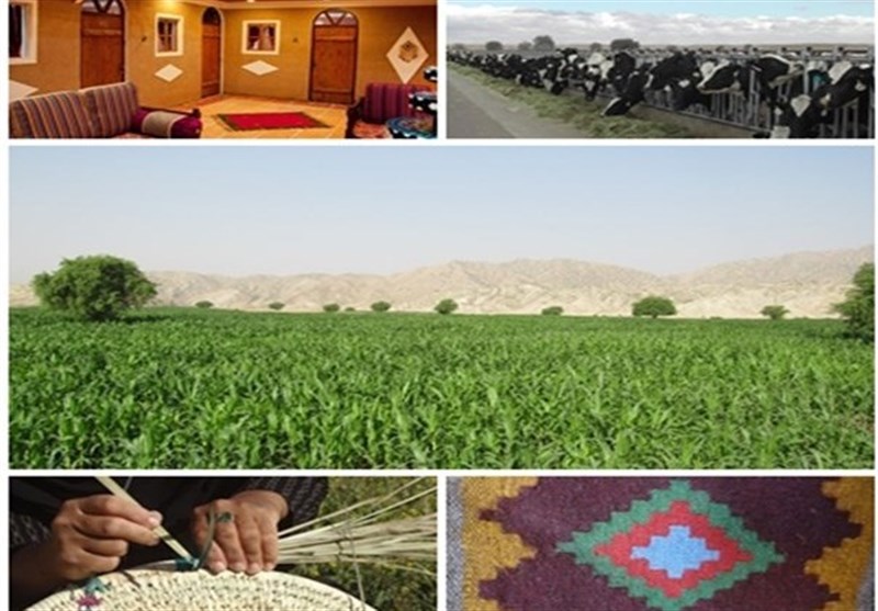 80 میلیارد ریال تسهیلات برای اجرای 208 طرح کسبوکار در سبزوار 80 میلیارد ریال تسهیلات برای اجرای 208 طرح کسبوکار در سبزوار