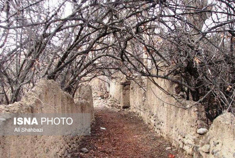 مرگ یک نوستالژی سبز 
