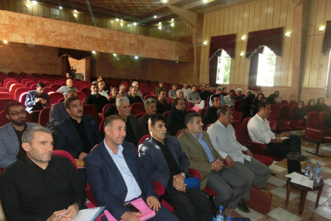 لزوم ترویج و توسعه کشت کلزا در میاندوآب